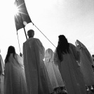Druids