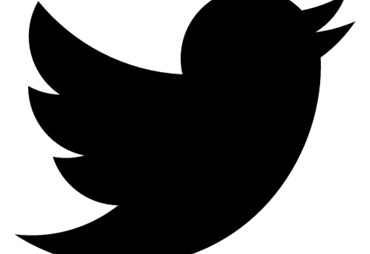 Black Twitter Bird