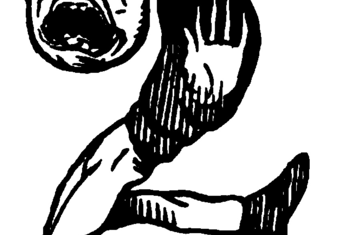 2
