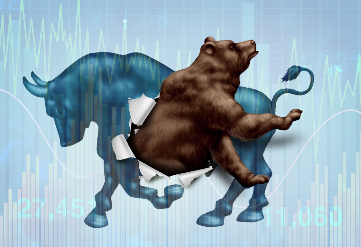 Bear Stock Market